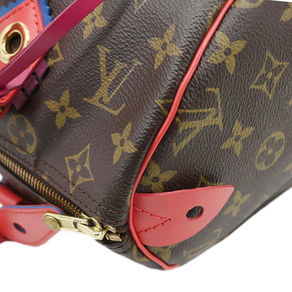 LOUIS VUITTON Totem Speedy 30 Monogram Canvas Satchel Bag Flamingo Pink
