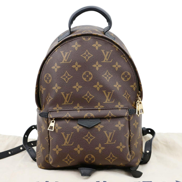 LOUIS VUITTON Palm Spring PM Monogram Canvas Backpack Brown