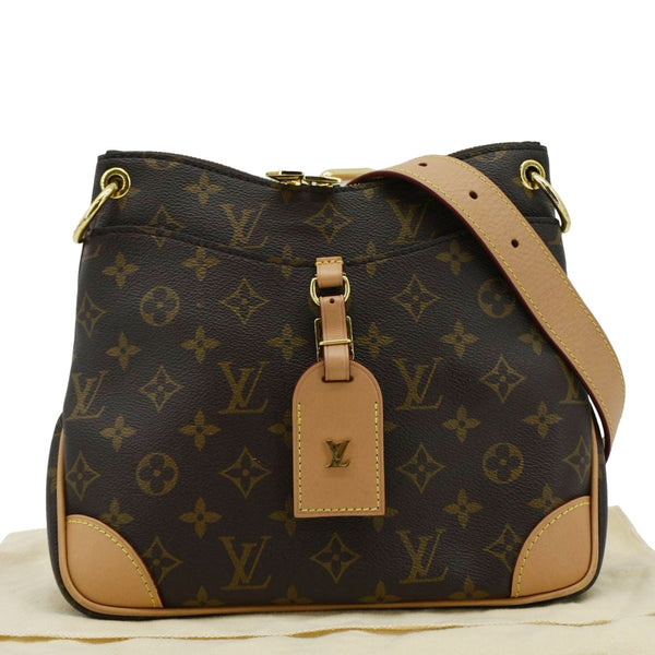 LOUIS VUITTON Odeon PM Shoulder Bag Brown back look