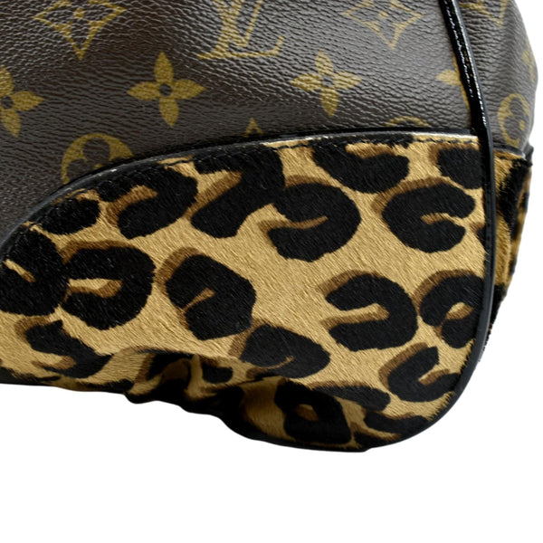 LOUIS VUITTON Polly Leopard Monogram Hobo Bag Brown