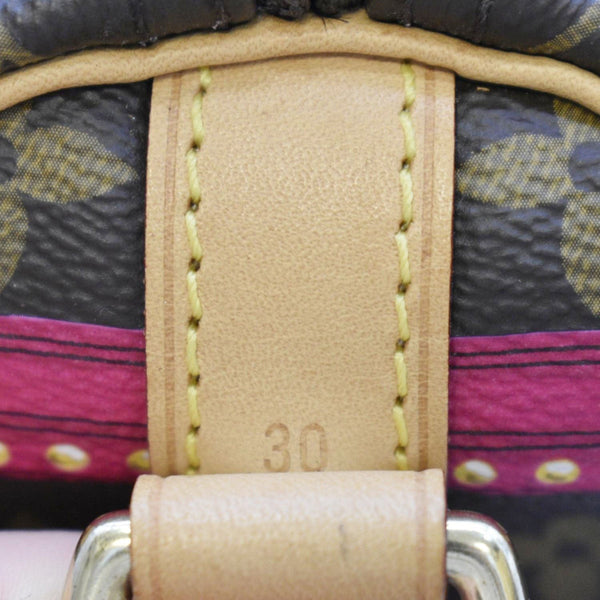 LOUIS VUITTON Summer Trunks Speedy 30 Monogram Canvas Satchel Bag Brown