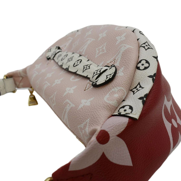 LOUIS VUITTON Giant Monogram Canvas Bumbag Rouge