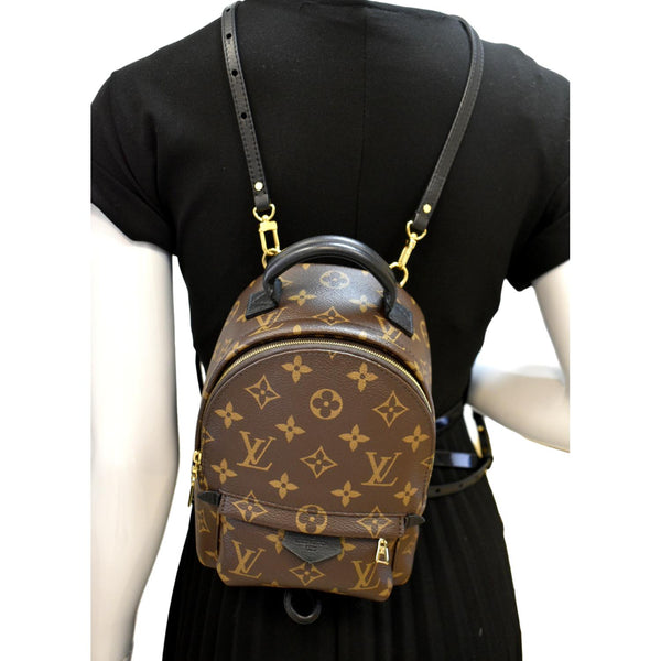 LOUIS VUITTON Palm Springs Mini Monogram Canvas Backpack Brown