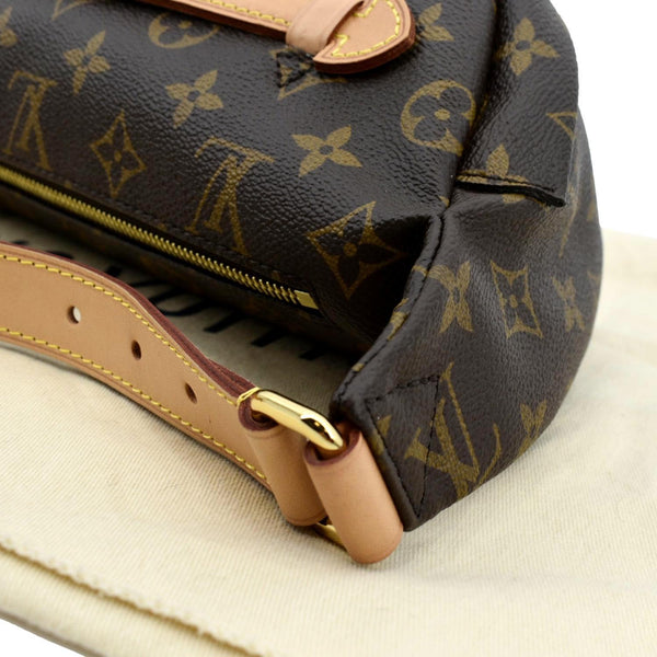 LOUIS VUITTON Monogram Canvas Bumbag Brown