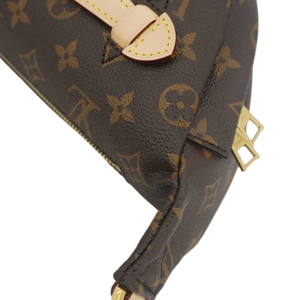 LOUIS VUITTON Monogram Canvas Bumbag Brown
