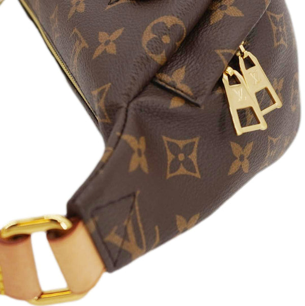 LOUIS VUITTON Monogram Canvas Bumbag Brown