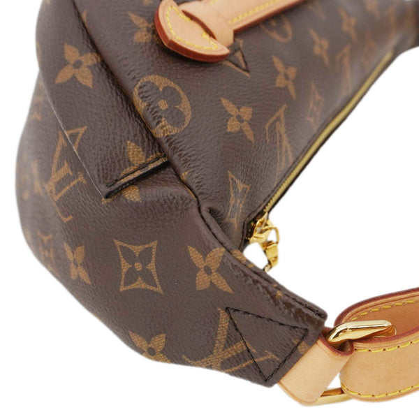 LOUIS VUITTON Monogram Canvas Bumbag Brown