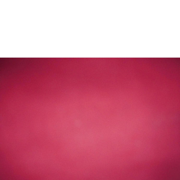 LOUIS VUITTON Speedy 30 Damier Ebene Satchel Bag Brown