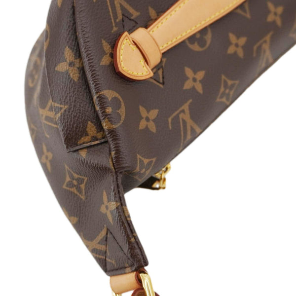 LOUIS VUITTON Monogram Canvas Bumbag Brown