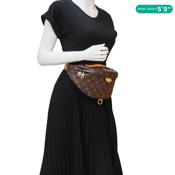 LOUIS VUITTON Monogram Canvas Bumbag Brown
