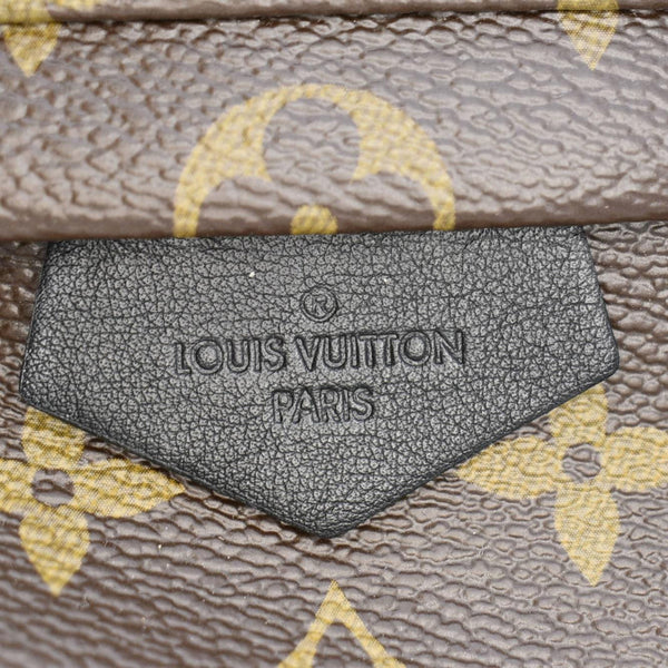 LOUIS VUITTON Palm Springs PM Monogram Canvas Backpack Brown