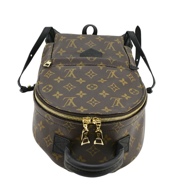 LOUIS VUITTON Palm Springs PM Monogram Canvas Backpack Brown