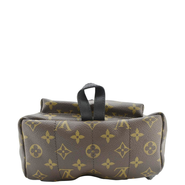 LOUIS VUITTON Palm Springs PM Monogram Canvas Backpack Brown