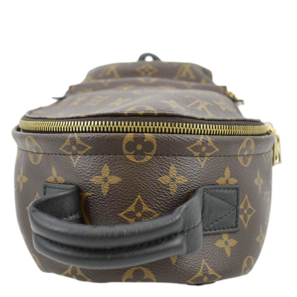 LOUIS VUITTON Palm Springs PM Monogram Canvas Backpack Brown