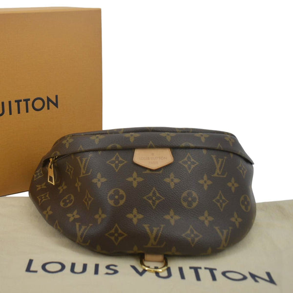 LOUIS VUITTON Monogram Canvas Bumbag Brown