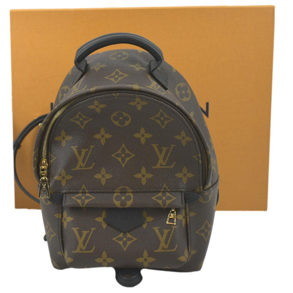 LOUIS VUITTON Palm Springs Mini Monogram Canvas Backpack Brown