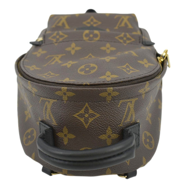 LOUIS VUITTON Palm Springs Mini Monogram Canvas Backpack Brown