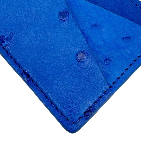 LOUIS VUITTON Ostrich Leather Card Holder Blue