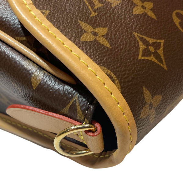 LOUIS VUITTON Diane Monogram Canvas Crossbody Bag Brown