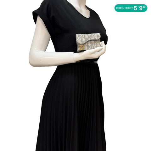 CHRISTIAN DIOR Saddle Oblique Canvas Card Holder Gray