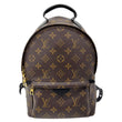 LOUIS VUITTON Palm Spring PM Monogram Canvas Backpack Brown