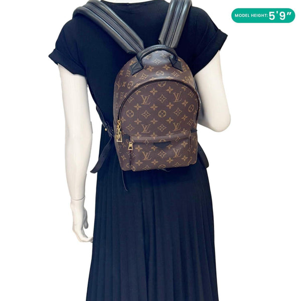 LOUIS VUITTON Palm Spring PM Monogram Canvas Backpack Brown