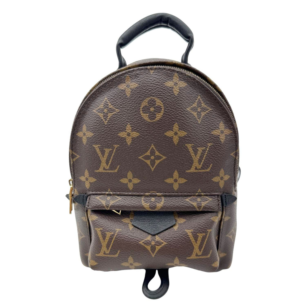 Louis Vuitton 2020 Monogram Palm Springs Mini Backpack