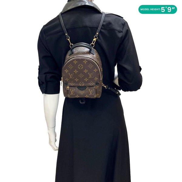 LOUIS VUITTON Palm Spring Mini Monogram Canvas Backpack Brown