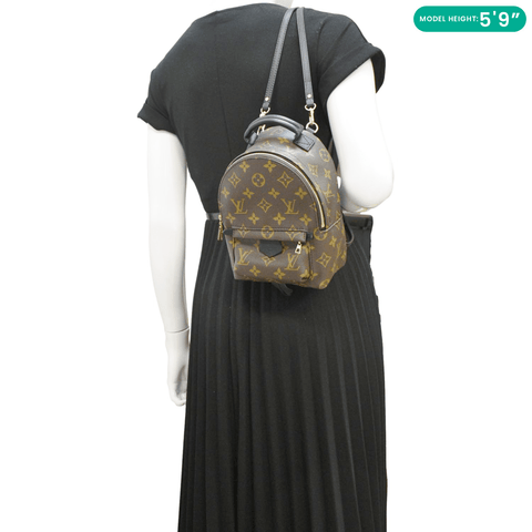 LOUIS VUITTON Palm Springs Mini Monogram Canvas Backpack Brown dummy look