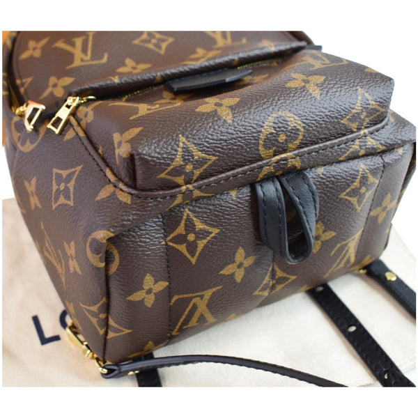 LOUIS VUITTON Palm Springs Mini Monogram Canvas Backpack Brown