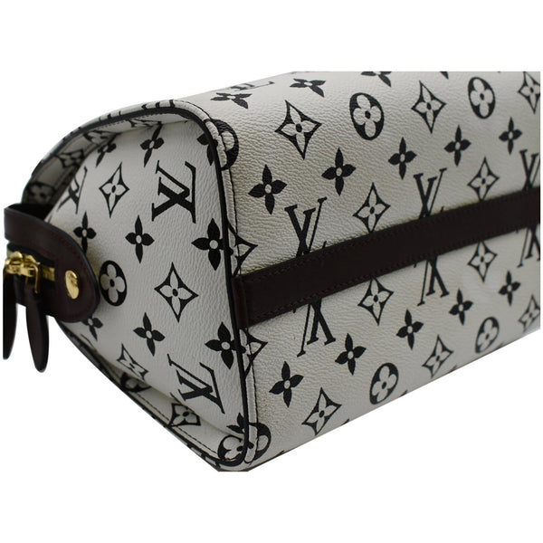 Louis Vuitton Speedy Amazon PM Monogram Canvas Bag