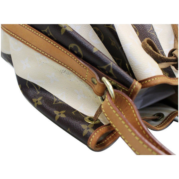 Focused LV Petit Noe Monogram Rayures Shoulder Bag