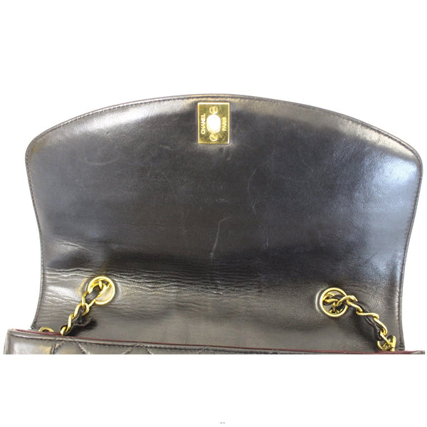 CHANEL Diana Classic Flap Quilted Leather Crossbody Bag-US