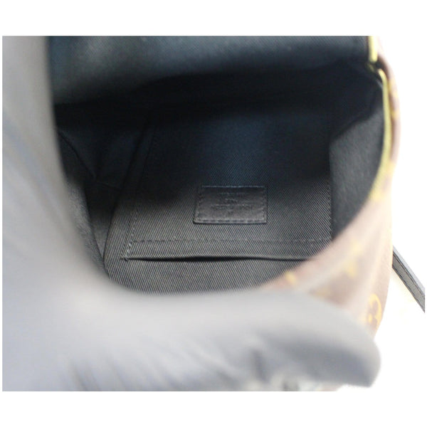 interior lv Palm Springs Mini Monogram Canvas Bag