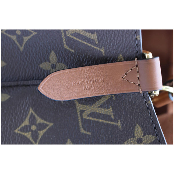 LOUIS VUITTON NeoNoe Monogram Canvas Crossbody Bag Caramel