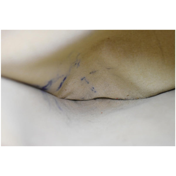 LOUIS VUITTON Galliera PM Monogram Canvas Hobo Shoulder Bag Brown