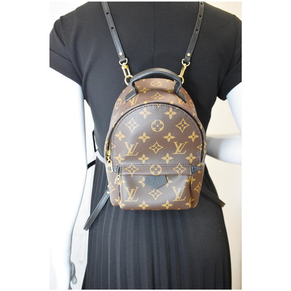 LOUIS VUITTON Palm Springs Mini Monogram Canvas Backpack Brown