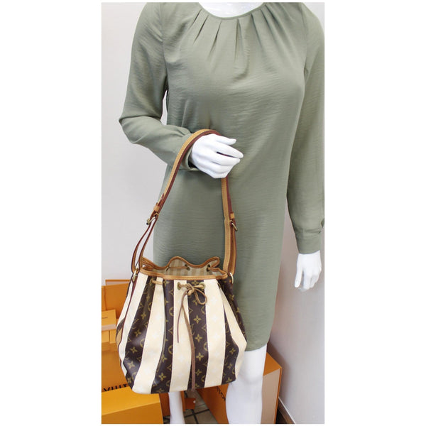 Louis Vuitton Petit Noe Monogram Rayures Hand Bag