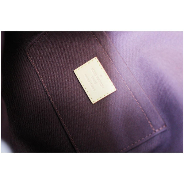 LOUIS VUITTON Favorite MM Monogram Canvas Crossbody Bag Brown