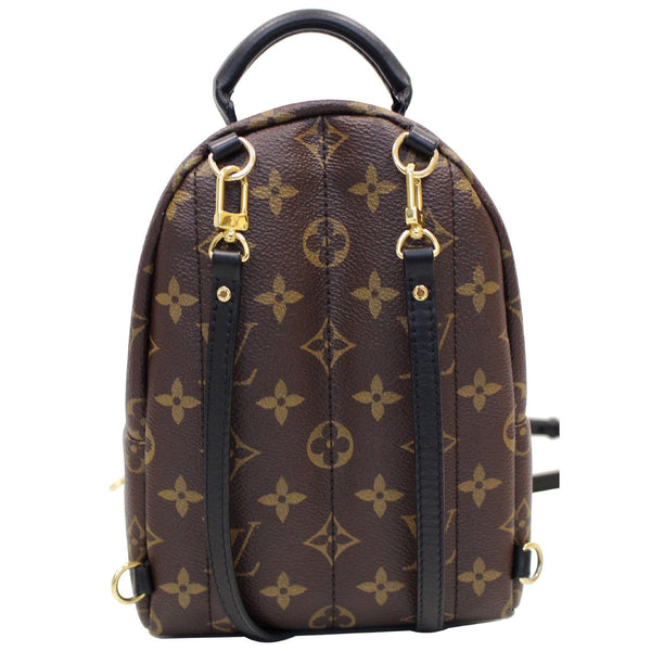 Downside LV Palm Springs Mini Monogram Canvas Bag