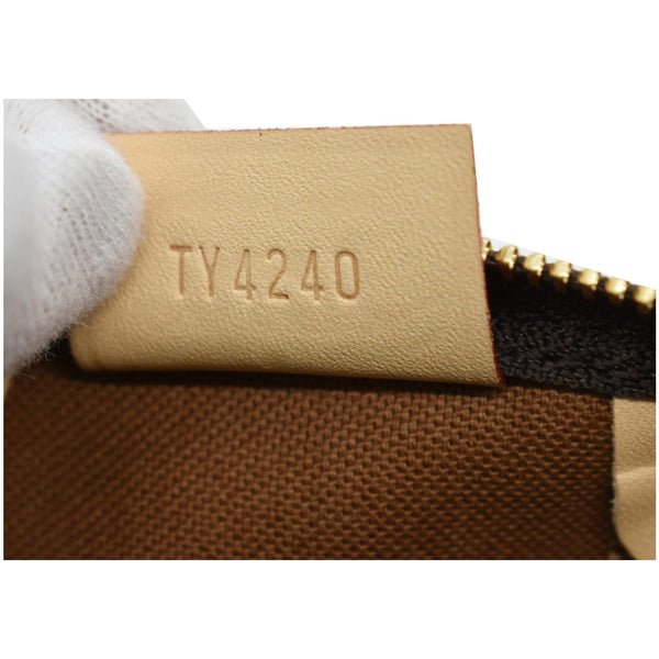 LOUIS VUITTON Nano Speedy Monogram Canvas Crossbody Bag Brown