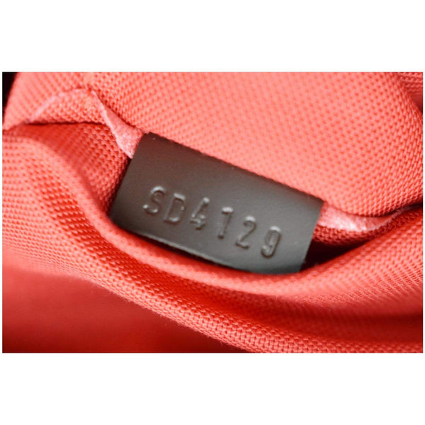 LOUIS VUITTON Siena PM Damier Ebene Shoulder Bag Brown