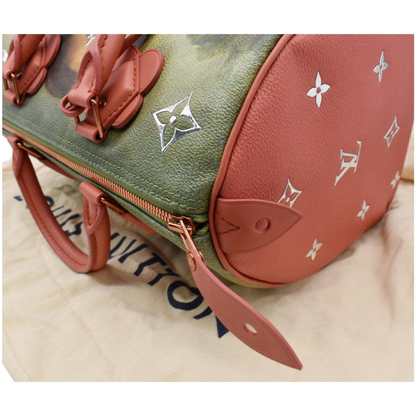 LOUIS VUITTON Jeff Koons DaVinci Speedy 30 Coated Canvas Satchel Bag Multicolor