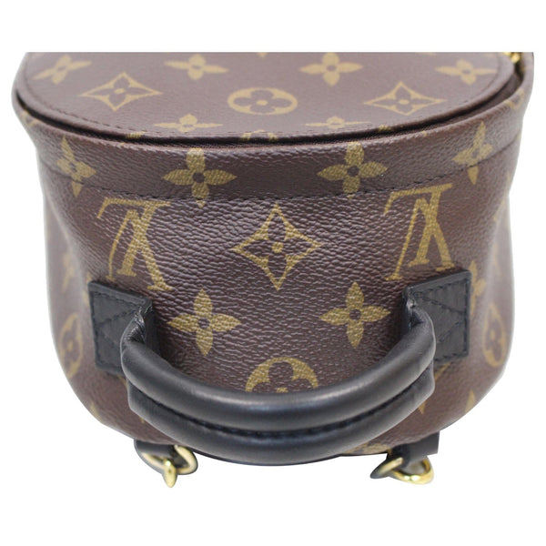 Top handles lv Palm Springs Mini Monogram Canvas Bag