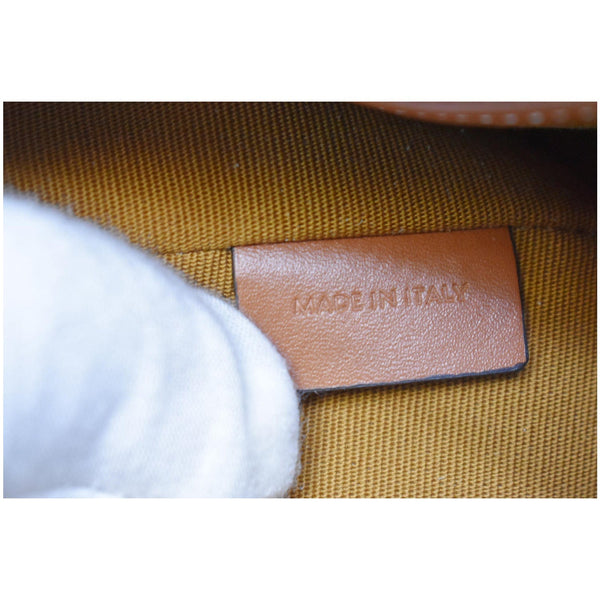 CELINE Ava Triomphe Canvas Calfskin Shoulder Bag Brown