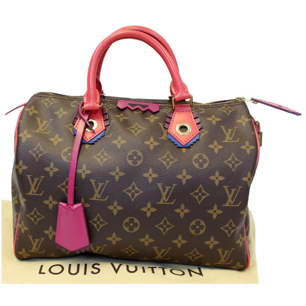 lv Totem Speedy 30 Monogram Canvas shoulder bag