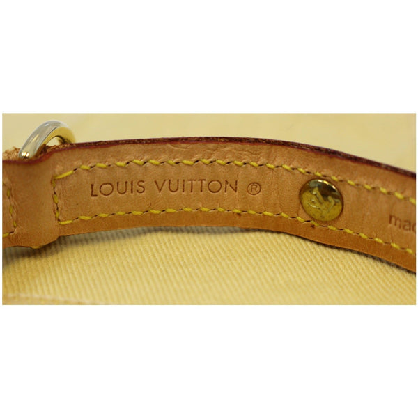 Brass studs Lv Baxter PM Monogram Canvas Dog Collar