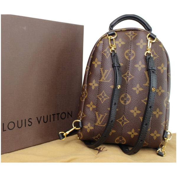 Louis Vuitton Palm Springs Mini Monogram Backpack for women