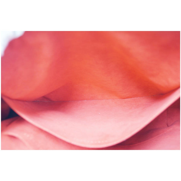 LOUIS VUITTON Estrela NM Monogram Canvas Shoulder Bag Cherry-US