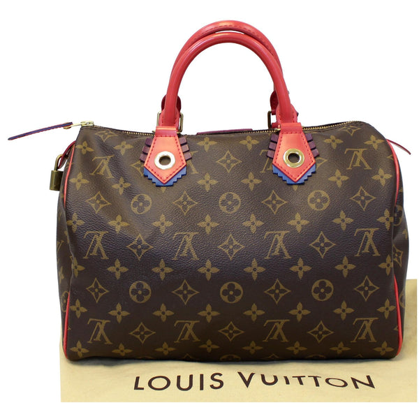 Lv Totem Speedy 30 Monogram Canvas Satchel back view